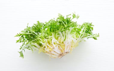 Organic Frisee