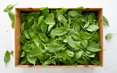 Bulk Organic Baby Spinach
