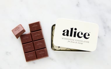 Brainstorm Mushroom Chocolates