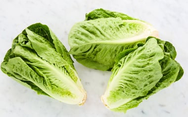 Organic Romaine Lettuce Trio