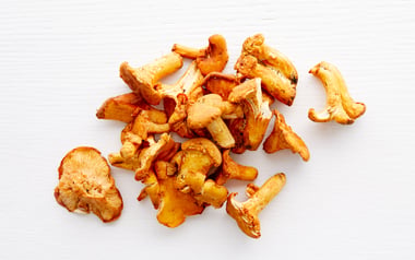 Wild Foraged Chanterelles Mushrooms