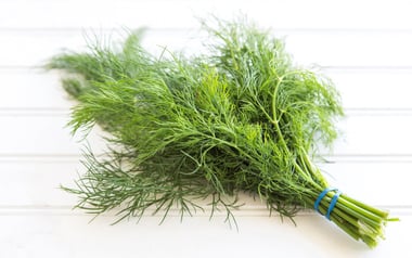 Organic Dill