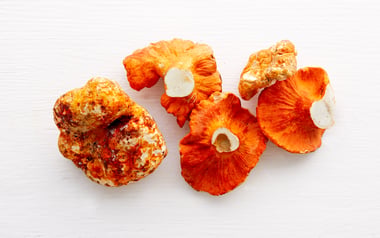 Wild Foraged Lobster Mushrooms