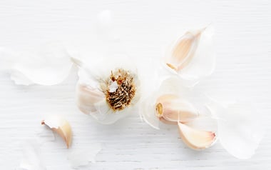 Organic Garlic