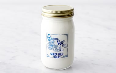 Plain Sheep Milk Yogurt