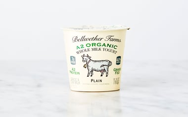 A2 Organic Plain Whole Milk Yogurt