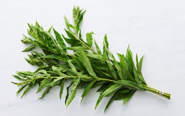 Organic Lemon Verbena