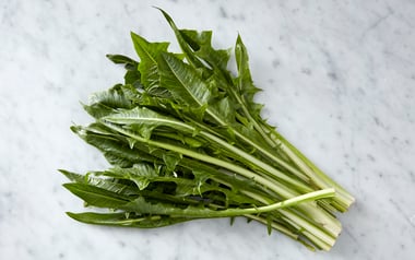 Organic Dandelion Greens