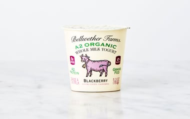 A2 Organic Blackberry Whole Milk Yogurt