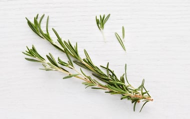 Pinch of Organic Rosemary