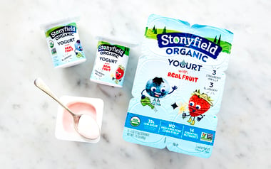 Organic Kids Blueberry & Strawberry Vanilla Lowfat Yogurt Cups