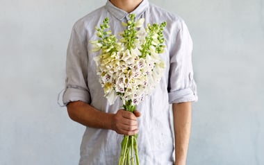 Organic Farmers Choice Foxgloves