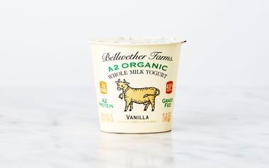 Organic A2 Vanilla Whole Milk Yogurt