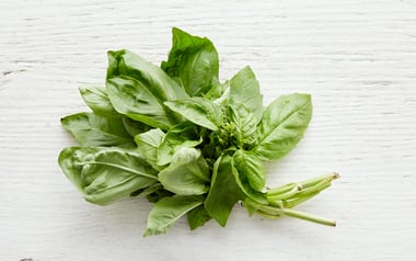 Organic Basil