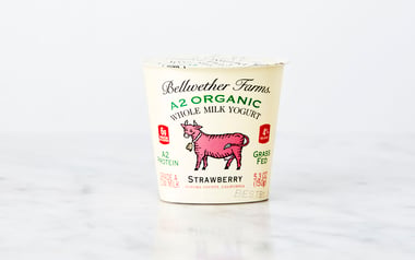 A2 Organic Strawberry Whole Milk Yogurt