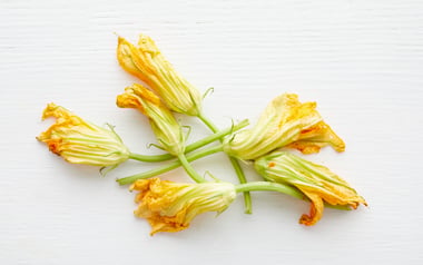 Organic Squash Blossoms