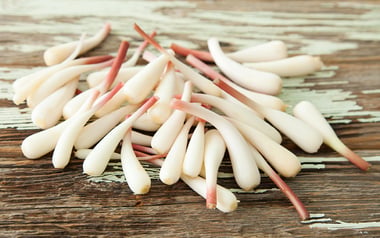Foraged Ramp Bulbs