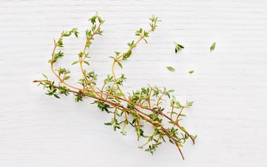 Pinch of Organic Thyme