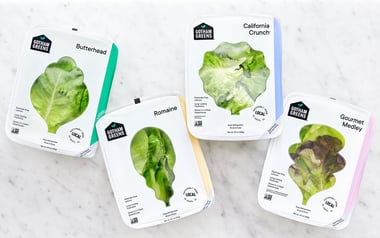 Lettuce Variety Pack