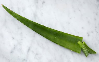 Organic Aloe Vera