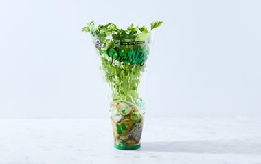 Organic Living Parsley Plant