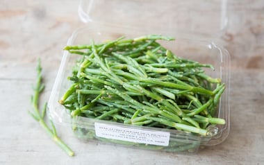 Foraged Sea Beans