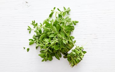 Organic Oregano