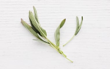 Organic Pinch of Sage
