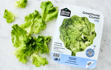 California Crunch Lettuce