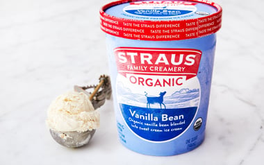 Organic Vanilla Bean Ice Cream