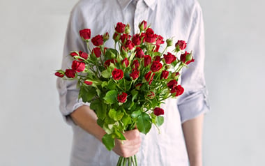 Crimson Spray Roses