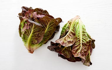 Organic Red Little Gem Lettuce Duo