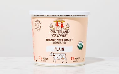 Plain Skyr Yogurt