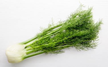 Organic Fennel
