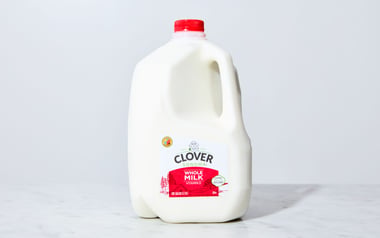 Whole Milk