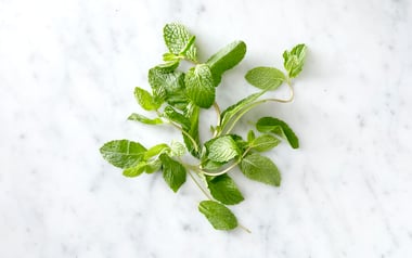 Pinch of Organic Mint