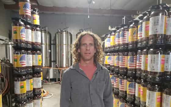 Marin Kombucha