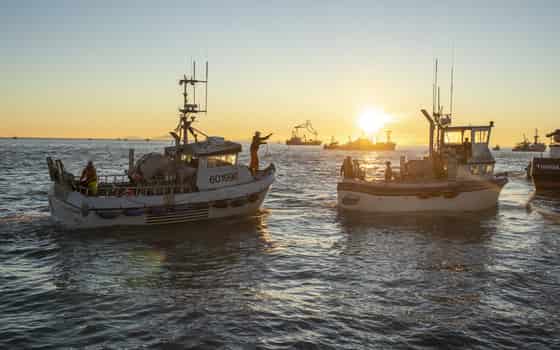 Fable Fish Co.