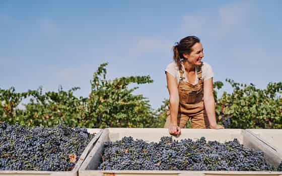 Martha Stoumen Wines